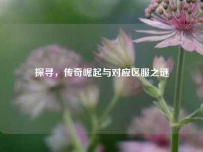 探寻，传奇崛起与对应区服之谜