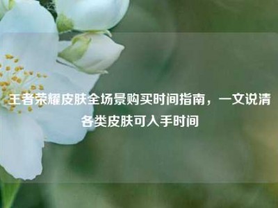 王者荣耀皮肤全场景购买时间指南，一文说清各类皮肤可入手时间