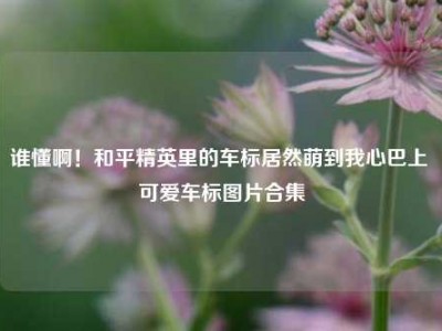 谁懂啊！和平精英里的车标居然萌到我心巴上 可爱车标图片合集