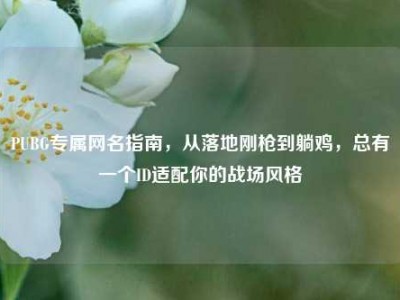 PUBG专属网名指南，从落地刚枪到躺鸡，总有一个ID适配你的战场风格