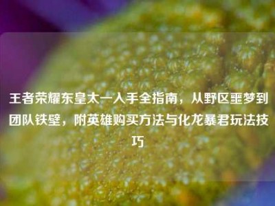 王者荣耀东皇太一入手全指南，从野区噩梦到团队铁壁，附英雄购买方法与化龙暴君玩法技巧
