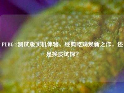 PUBG 2测试版实机体验，经典吃鸡焕新之作，还是换皮试探？