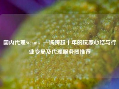 国内代理Steam，一场跨越十年的玩家心结与行业变局及代理服务器推荐