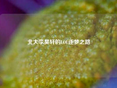 北大李昊轩的LOL逐梦之路