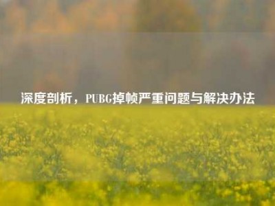 深度剖析，PUBG掉帧严重问题与解决办法