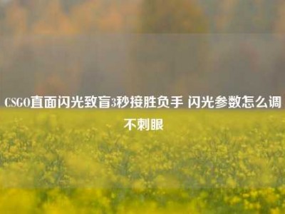 CSGO直面闪光致盲3秒接胜负手 闪光参数怎么调不刺眼