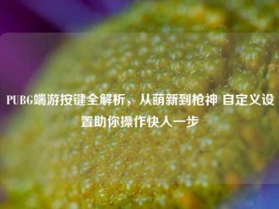PUBG端游按键全解析，从萌新到枪神 自定义设置助你操作快人一步