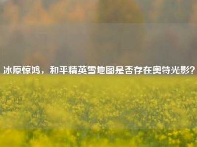 冰原惊鸿，和平精英雪地图是否存在奥特光影？