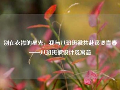 别在衣襟的星光，我与八班班徽共赴滚烫青春——八班班徽设计及寓意