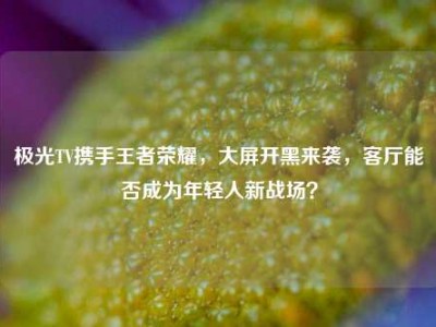 极光TV携手王者荣耀，大屏开黑来袭，客厅能否成为年轻人新战场？