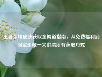王者荣耀皮肤获取全渠道指南，从免费福利到限定珍藏一文讲清所有获取方式
