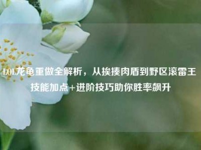 LOL龙龟重做全解析，从挨揍肉盾到野区滚雷王 技能加点+进阶技巧助你胜率飙升