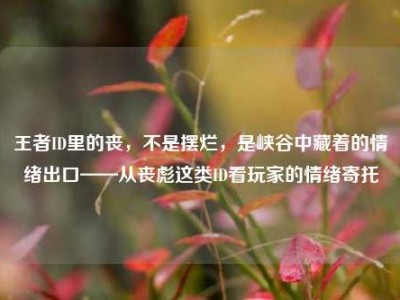 王者ID里的丧，不是摆烂，是峡谷中藏着的情绪出口——从丧彪这类ID看玩家的情绪寄托