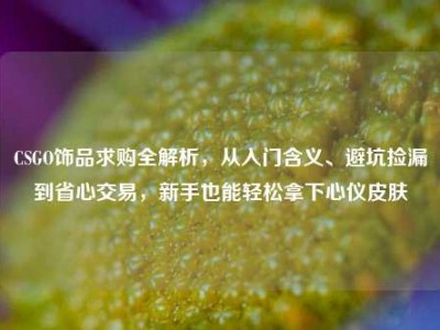 CSGO饰品求购全解析，从入门含义、避坑捡漏到省心交易，新手也能轻松拿下心仪皮肤