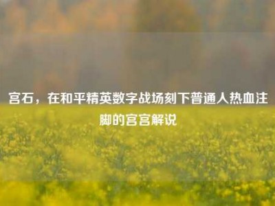 宫石，在和平精英数字战场刻下普通人热血注脚的宫宫解说