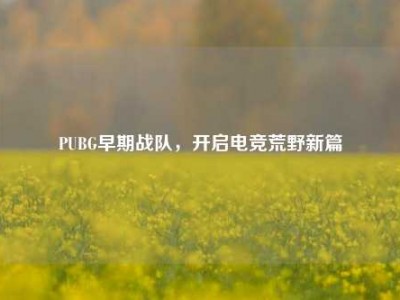 PUBG早期战队，开启电竞荒野新篇