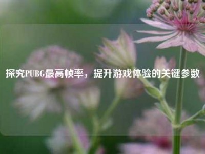 探究PUBG最高帧率，提升游戏体验的关键参数