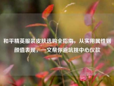 和平精英服装皮肤选购全指南，从实用属性到颜值表现，一文帮你避坑挑中心仪款