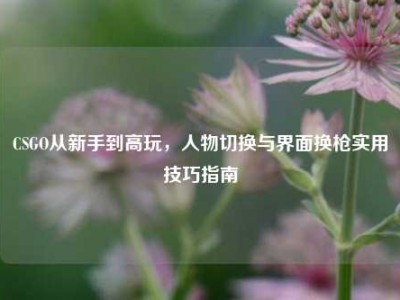 CSGO从新手到高玩，人物切换与界面换枪实用技巧指南