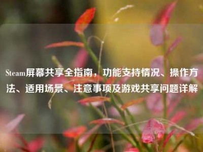 Steam屏幕共享全指南，功能支持情况、操作方法、适用场景、注意事项及游戏共享问题详解