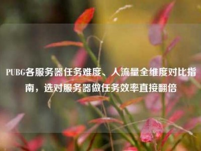 PUBG各服务器任务难度、人流量全维度对比指南，选对服务器做任务效率直接翻倍