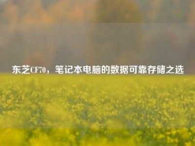 东芝CF70，笔记本电脑的数据可靠存储之选