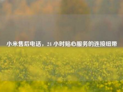 小米售后电话，24 小时贴心服务的连接纽带