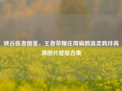 峡谷医者图鉴，王者荣耀庄周扁鹊温柔羁绊高清图片壁纸合集