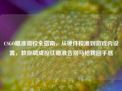 CSGO瞄准调校全指南，从硬件校准到游戏内设置，教你调成按住瞄准告别马枪找回手感