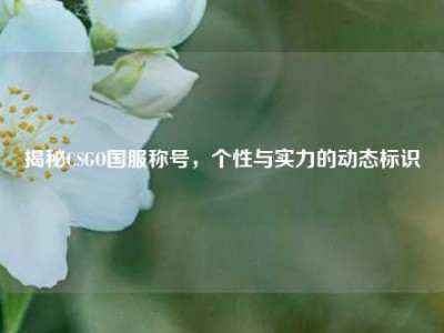 揭秘CSGO国服称号，个性与实力的动态标识