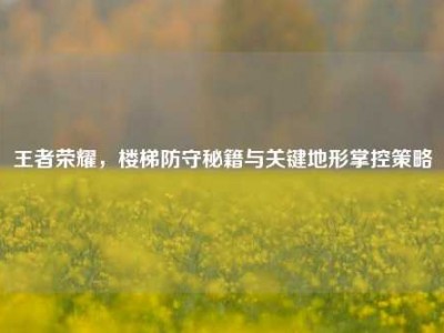 王者荣耀，楼梯防守秘籍与关键地形掌控策略