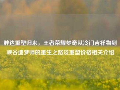 胖达重塑归来，王者荣耀梦奇从冷门吉祥物到峡谷造梦师的重生之路及重塑价格相关介绍