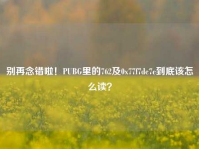 别再念错啦！PUBG里的762及0x77f7de7e到底该怎么读？