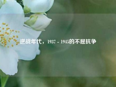 逆战年代，1937 - 1945的不屈抗争