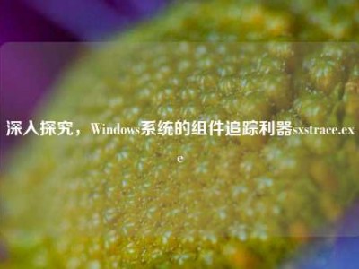 深入探究，Windows系统的组件追踪利器sxstrace.exe