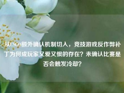 从CSGO额外确认机制切入，竞技游戏反作弊补丁为何成玩家又爱又恨的存在？未确认比赛是否会触发冷却？