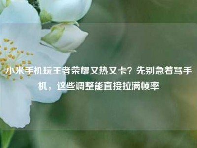 小米手机玩王者荣耀又热又卡？先别急着骂手机，这些调整能直接拉满帧率