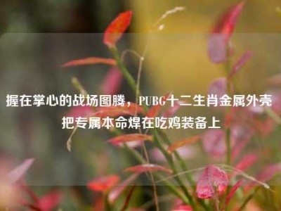 握在掌心的战场图腾，PUBG十二生肖金属外壳 把专属本命焊在吃鸡装备上