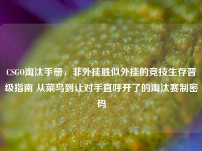 CSGO淘汰手册，非外挂胜似外挂的竞技生存晋级指南 从菜鸟到让对手直呼开了的淘汰赛制密码