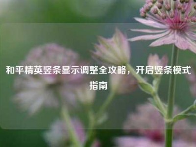 和平精英竖条显示调整全攻略，开启竖条模式指南