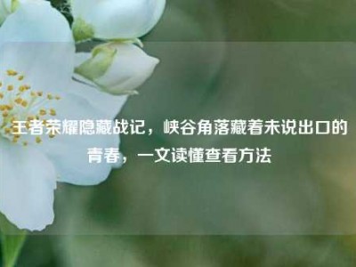 王者荣耀隐藏战记，峡谷角落藏着未说出口的青春，一文读懂查看方法