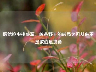 韩信枪尖挑破军，峡谷野王的破局之刃从来不是数值是孤勇