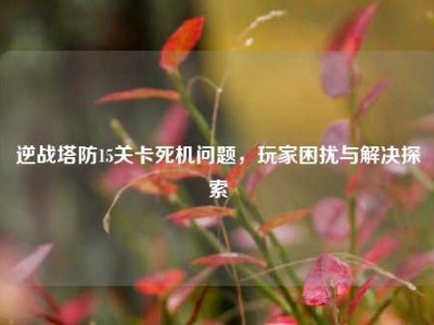 逆战塔防15关卡死机问题，玩家困扰与解决探索