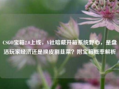 CSGO宝箱2.0上线，V社暗藏开箱系统野心，是盘活玩家经济还是换皮割韭菜？附宝箱概率解析