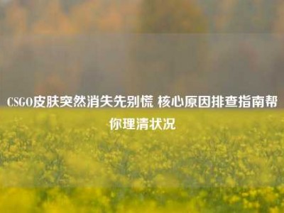 CSGO皮肤突然消失先别慌 核心原因排查指南帮你理清状况