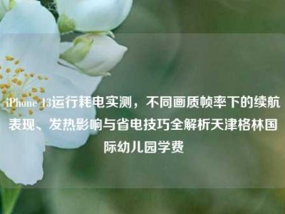 iPhone 13运行耗电实测，不同画质帧率下的续航表现、发热影响与省电技巧全解析天津格林国际幼儿园学费