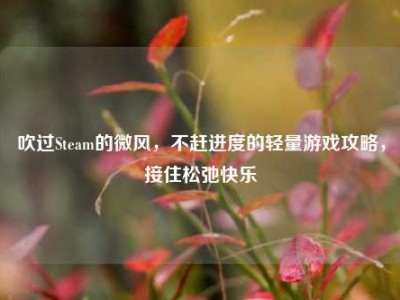 吹过Steam的微风，不赶进度的轻量游戏攻略，接住松弛快乐
