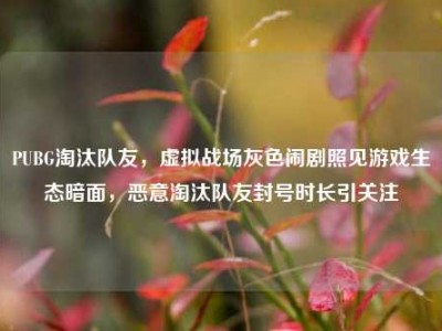PUBG淘汰队友，虚拟战场灰色闹剧照见游戏生态暗面，恶意淘汰队友封号时长引关注