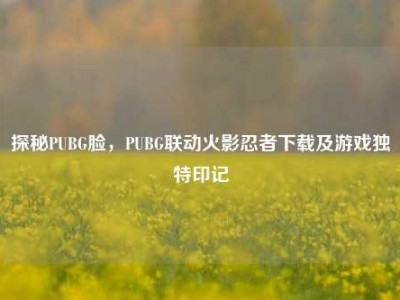 探秘PUBG脸，PUBG联动火影忍者下载及游戏独特印记