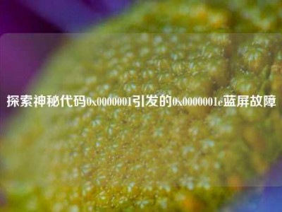 探索神秘代码0x0000001引发的0x0000001e蓝屏故障